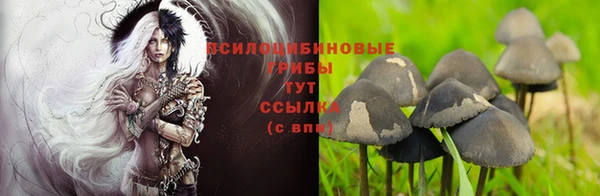 трава Арсеньев