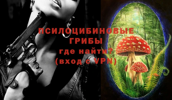 трава Арсеньев