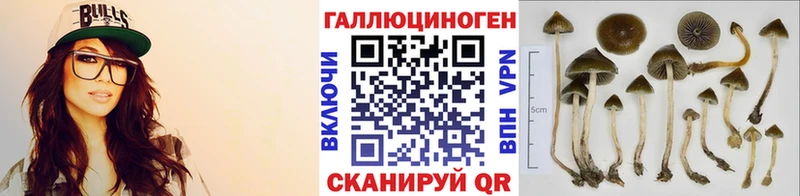 блэк спрут ссылки  Углегорск  Псилоцибиновые грибы прущие грибы  купить закладку 